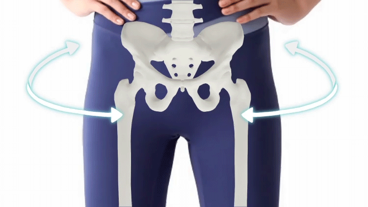 腰周り運動　gif