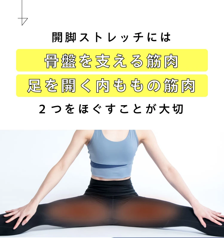 骨盤を支える筋肉、足を開く内腿の筋肉 2つをほぐすことが大切