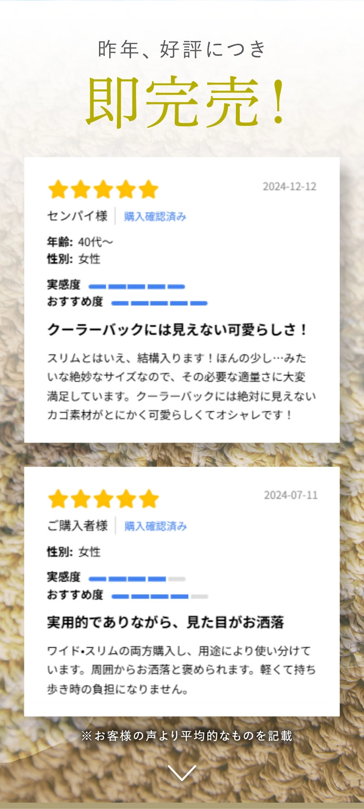 公式】クーラートートバッグ icy＋（アイシープラス）｜amepla