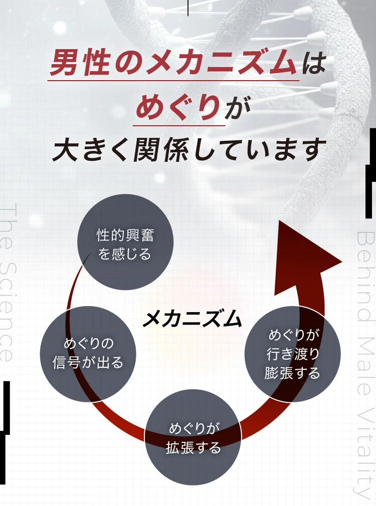 男性のメカニズムはめぐりが大きく関係しています