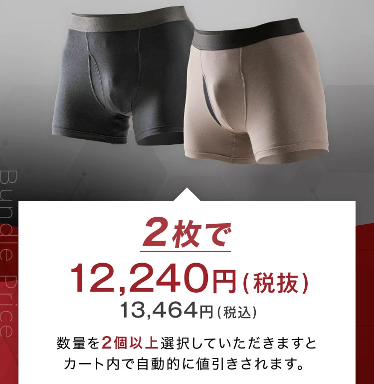 2枚で12,240円（税抜）