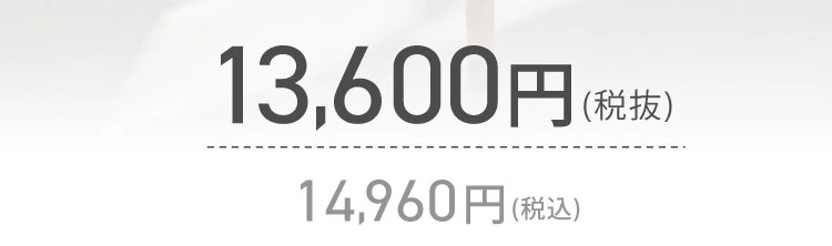 ひざカツマッサージャー 商品価格