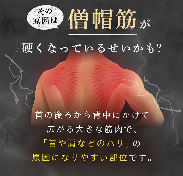 その原因は、首の後ろから背中にかけて広がる僧帽筋が硬くなっているせいかもしれません