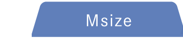 Msize