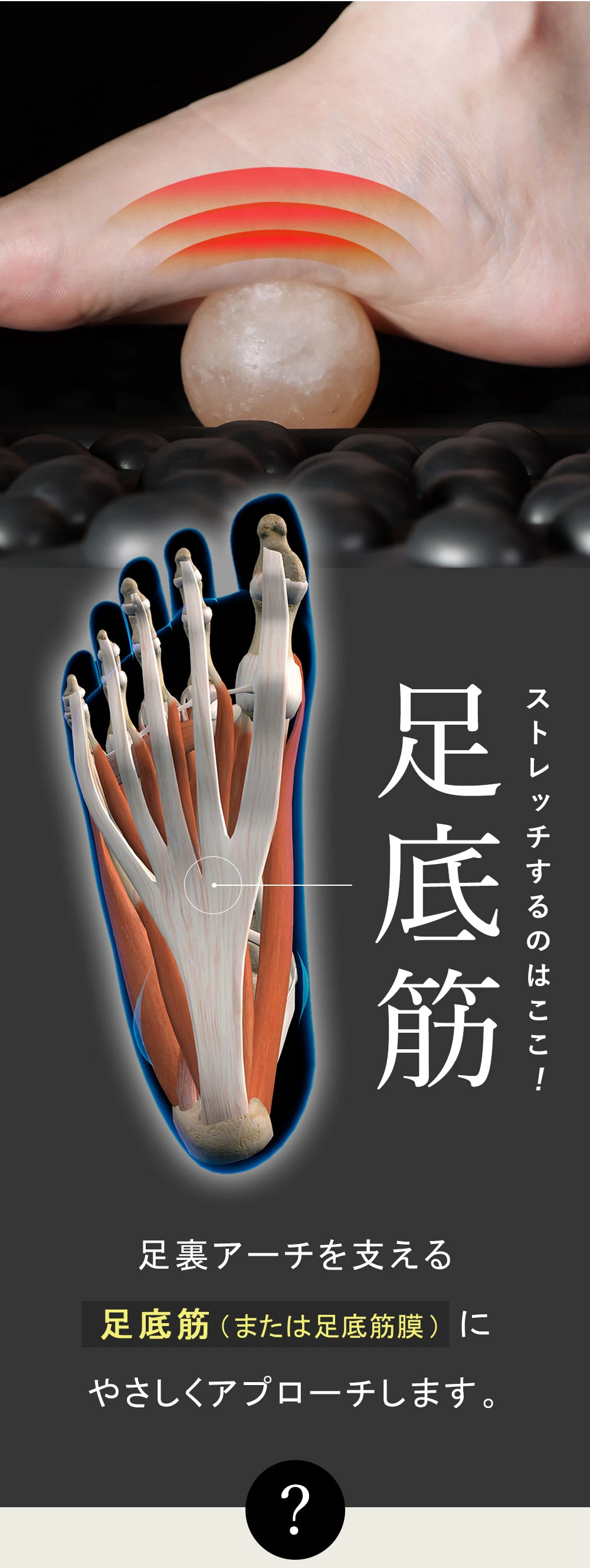 足裏アーチを支える足底筋または足底筋膜にやさしくアプローチします