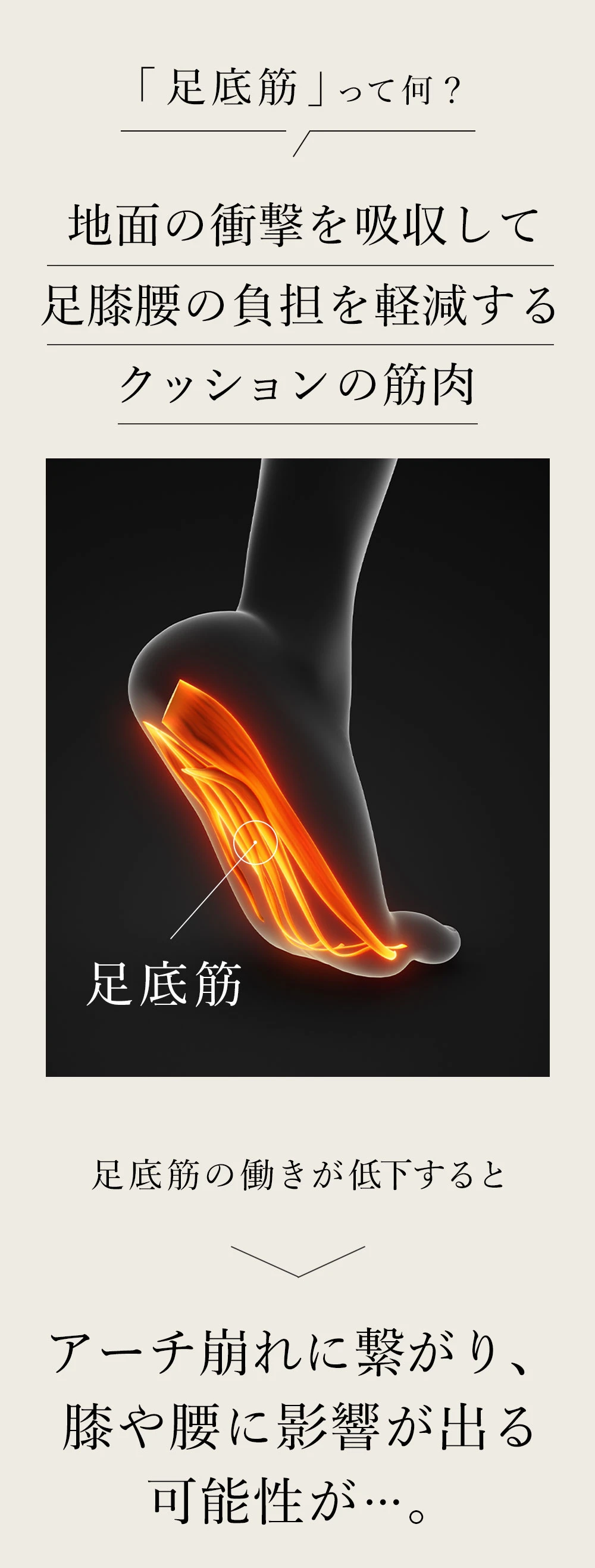 足底筋とは、地面の衝撃を吸収して足膝腰の負担を軽減するクッションの筋肉
