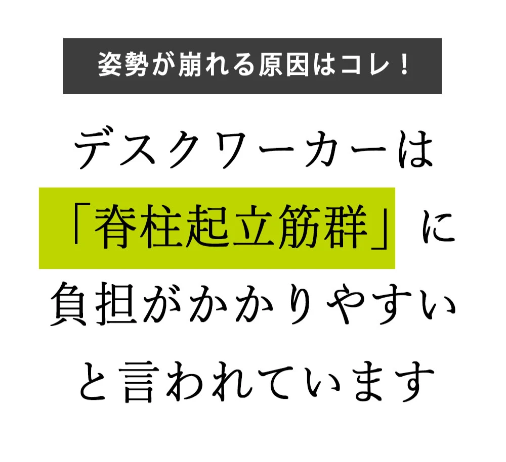 デスクワーカーは脊柱起立筋群に負担がかかりやすいと言われています