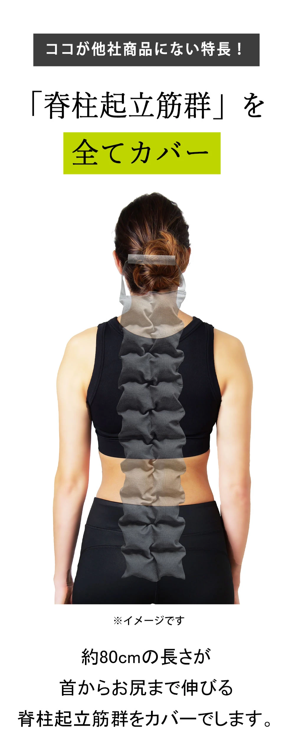 脊柱起立筋群を全てカバー