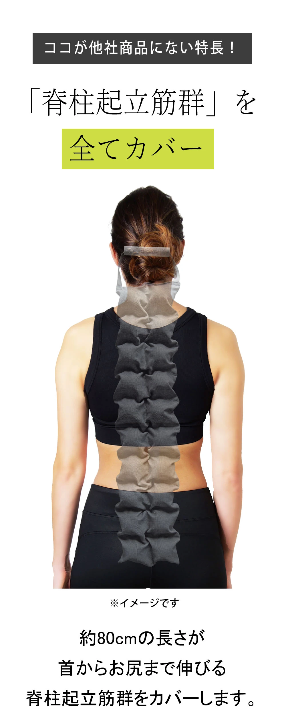 脊柱起立筋群を全てカバー