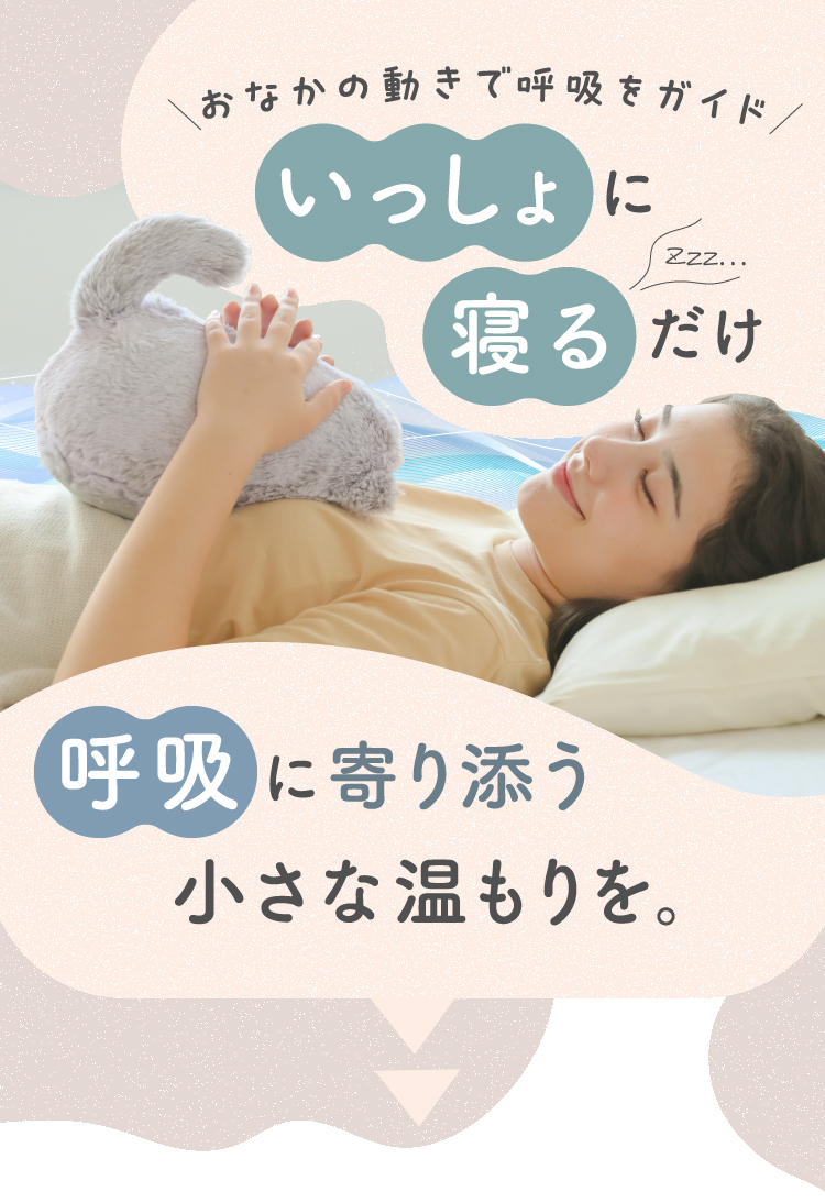 utataneco（うたたねこ） | amepla