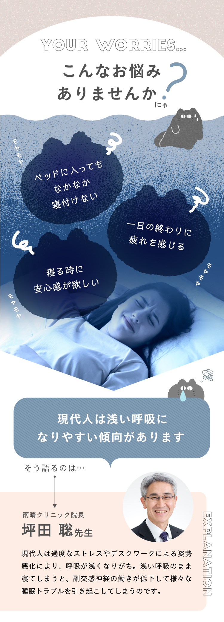utataneco（うたたねこ） | amepla