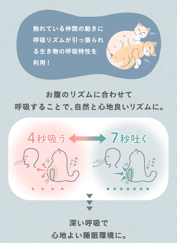 utataneco（うたたねこ） | amepla