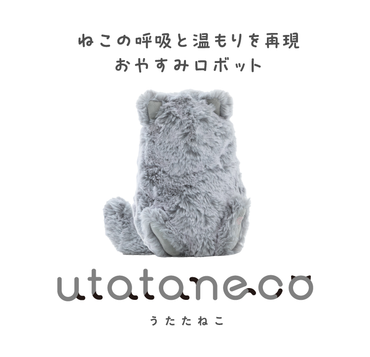 utataneco（うたたねこ） | amepla