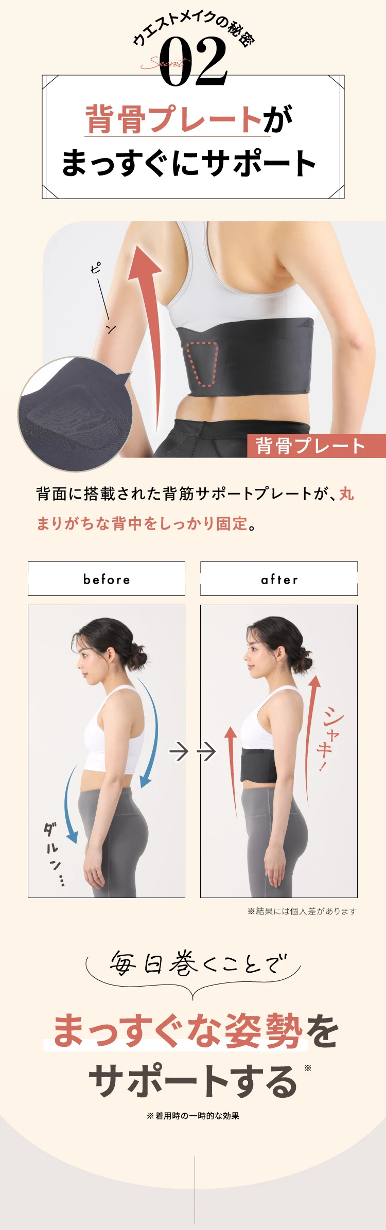 ウエストメイクの秘密02.　背骨プレートがまっすぐにサポート 毎日巻くことでまっすぐな姿勢をサポートする