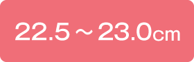 22.5〜23.0cm