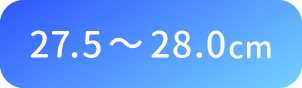 27.5〜28.0cm