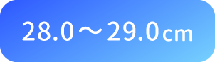 28.0〜29.0cm