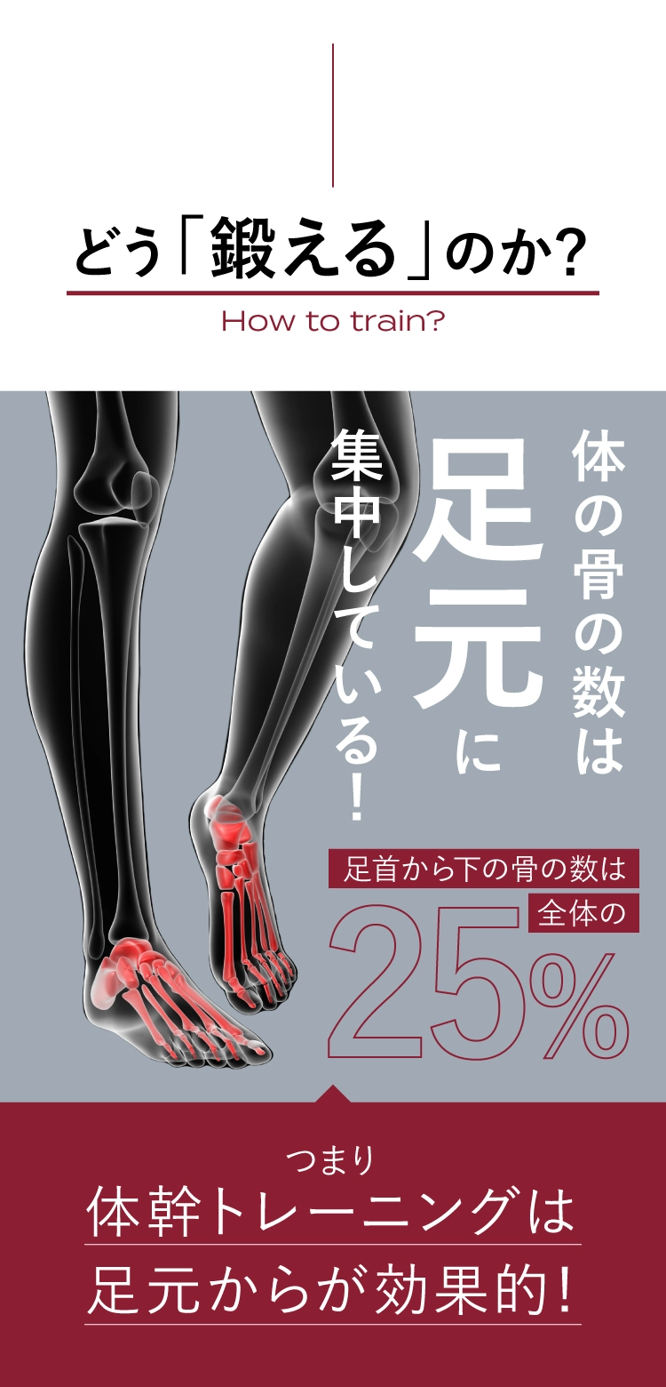 どう「鍛える」のか?体の骨の数は足元に集中している！つまり体幹トレーニングは足元から効果的！