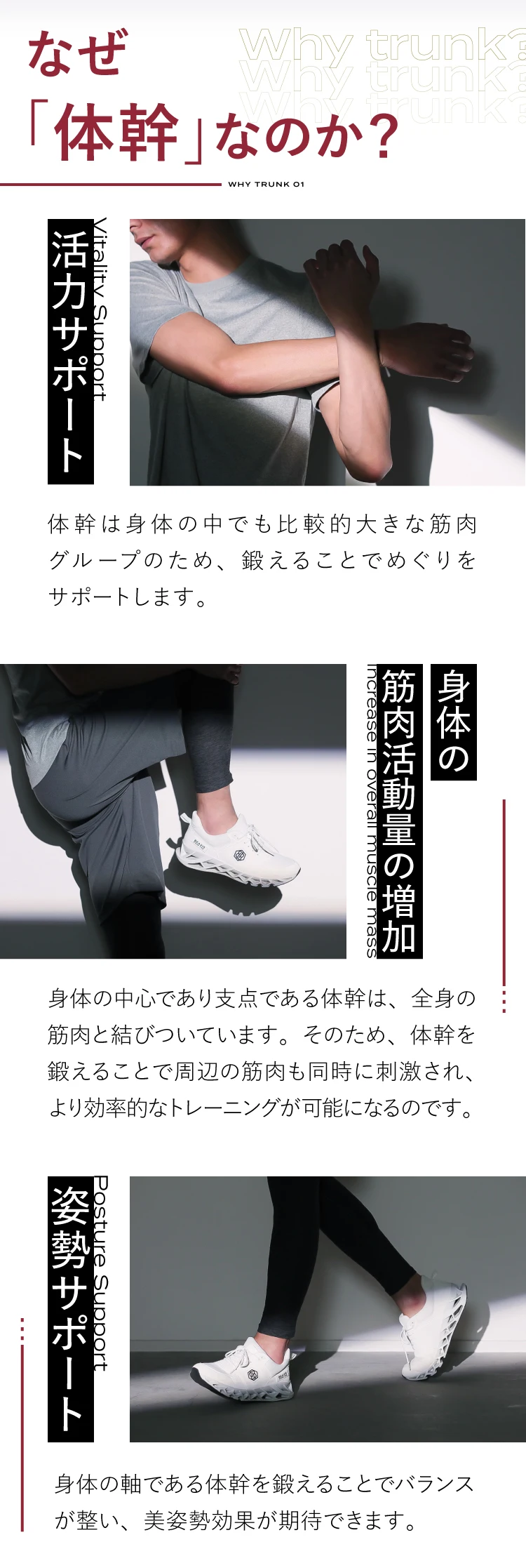 なぜ「体幹」なのか？