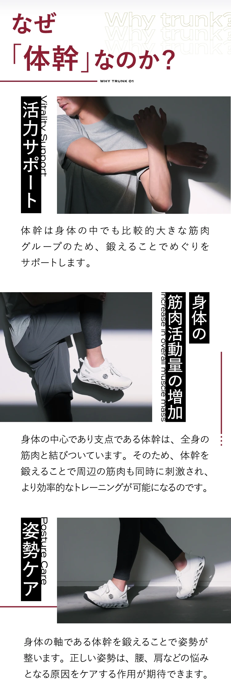 なぜ「体幹」なのか？