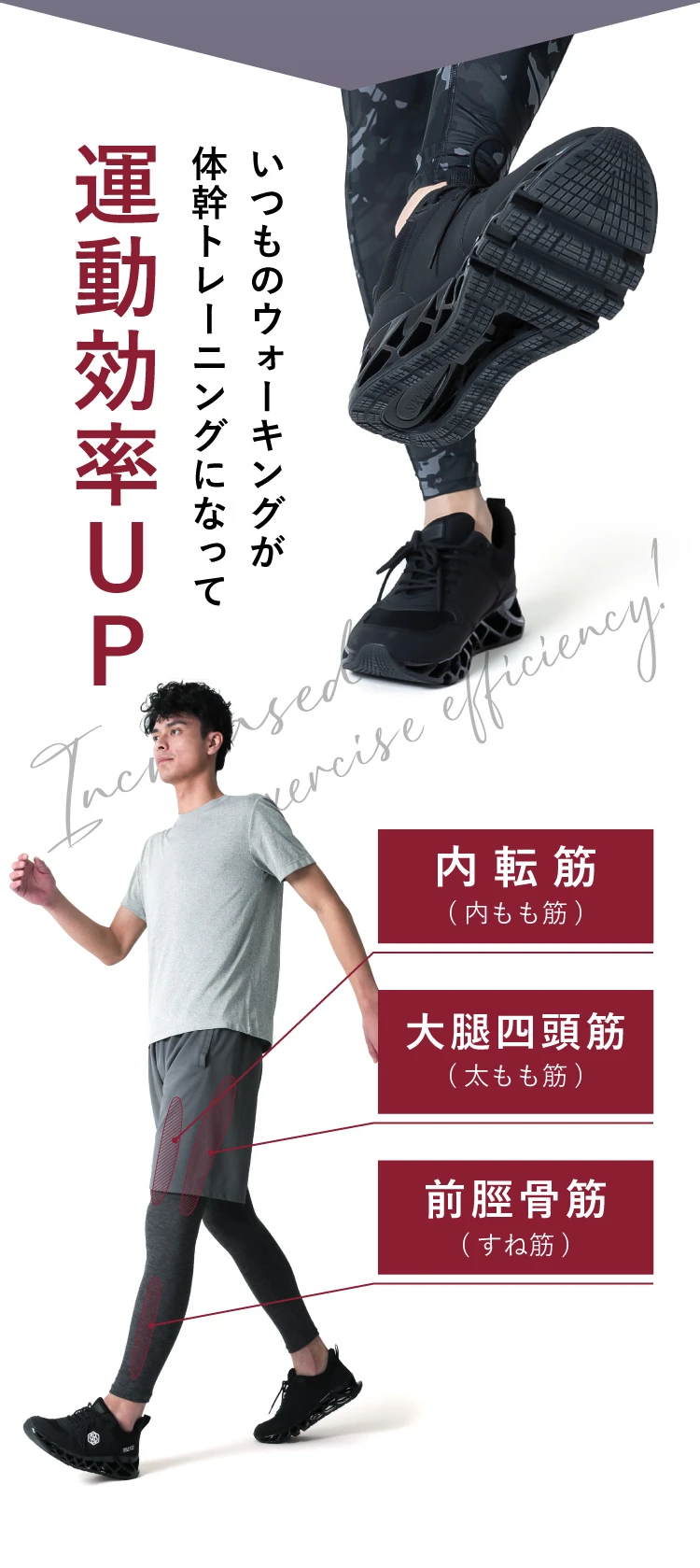 いつものウォーキングが体幹トレーニングになって運動効率UP