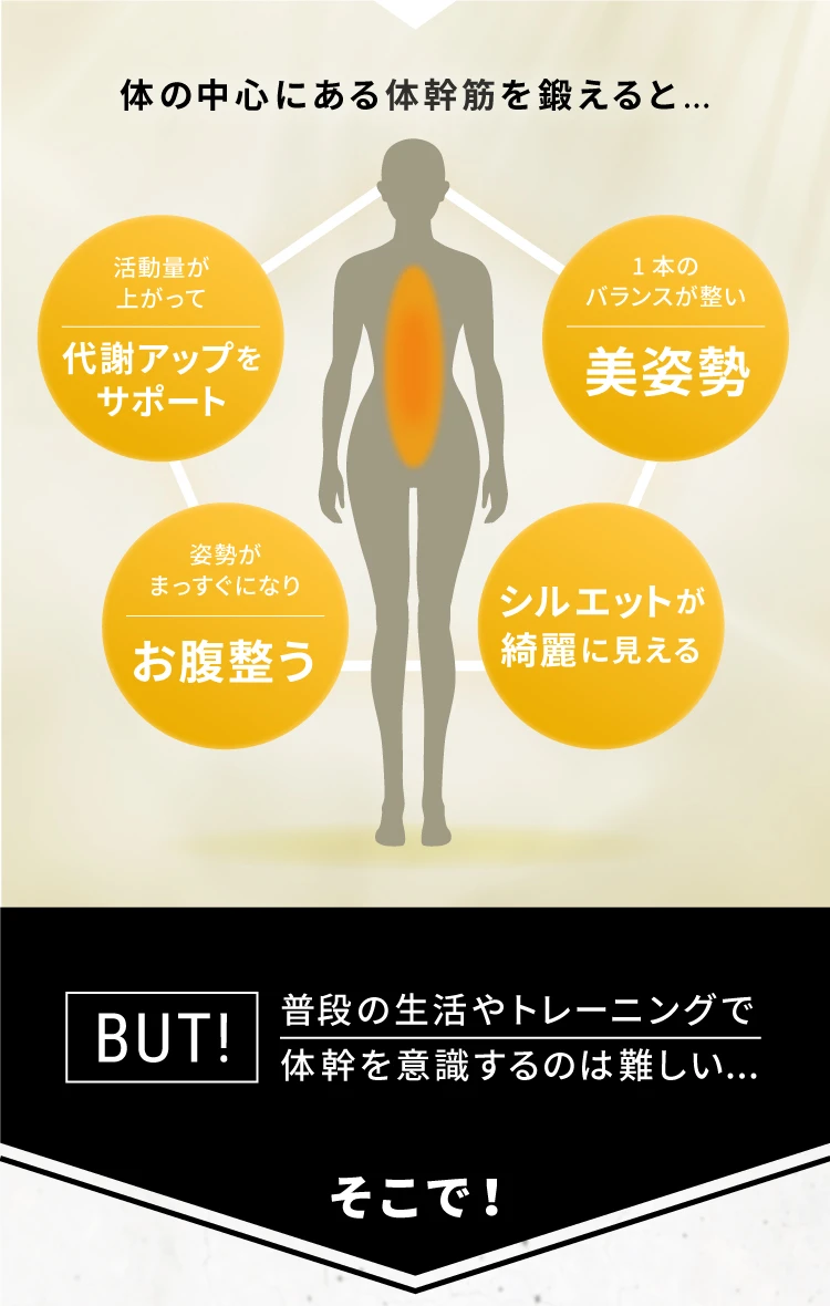 体の中心にある体幹筋を鍛えると 代謝アップをサポート 美姿勢 お腹整う シルエットが綺麗に見える