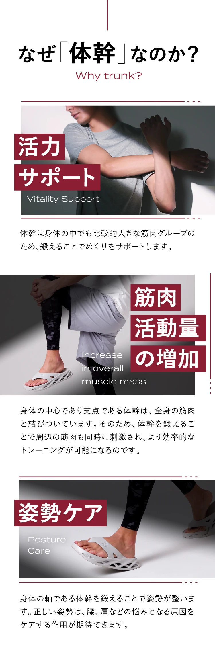 活力サポート 筋肉活動量の増加 姿勢ケア 