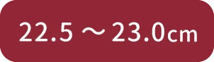 22.5cm～23.0cm