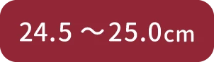 24.5cm～25.0cm
