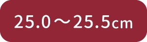 25.0cm~25.5cm