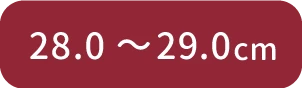 28.0cm～29.0cm