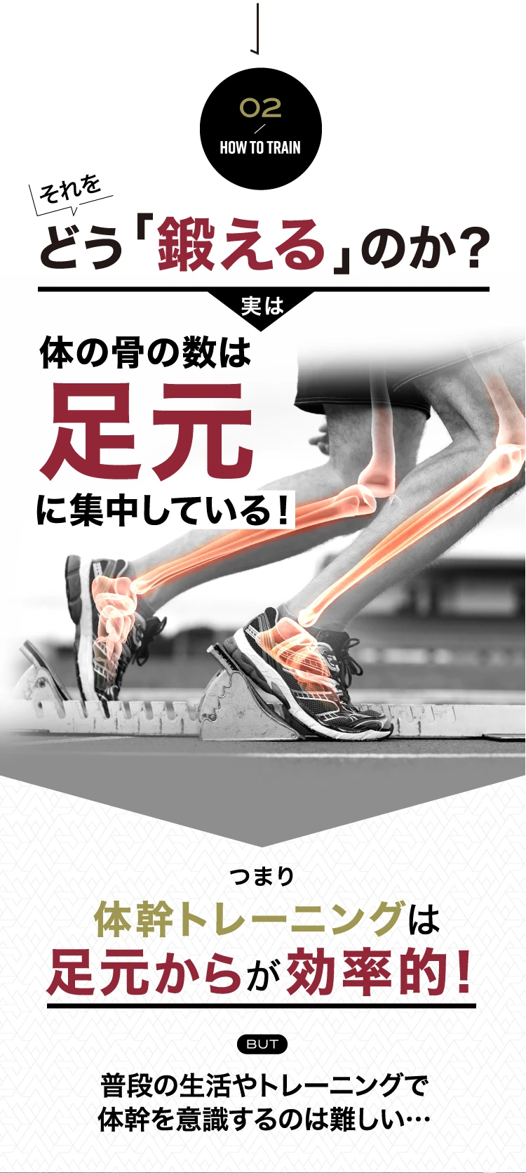 公式】バランスコアターフ BEAXIS(ビーアクシス)｜amepla（アメプラ