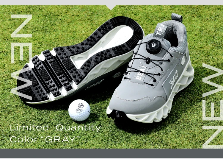 NEW　Limited Quantity Color GRAY