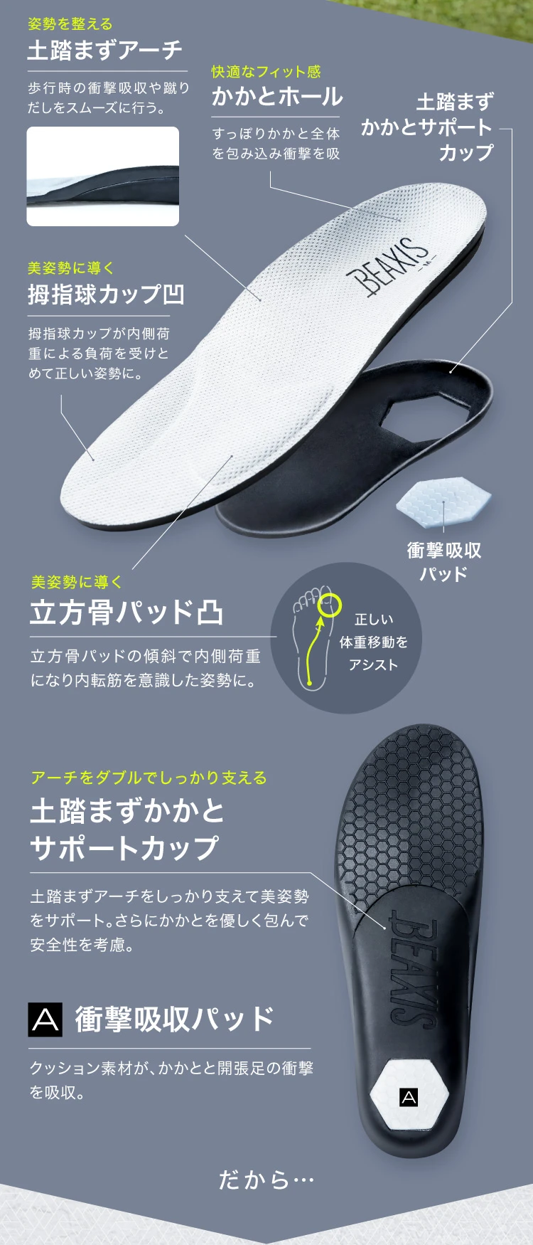 インソール紹介