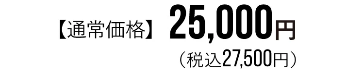 BEAXIS バランスコアターフ2 商品価格