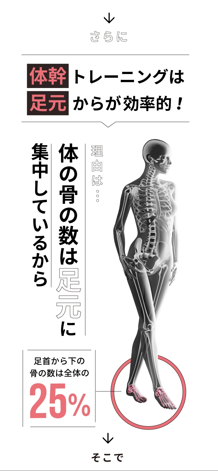 スリムへの近道　体幹＝コアトレーニング 燃焼活動量UPで痩せやすい体質に 1本のバランスが整い美姿勢に お腹回りすっきり 脚長効果