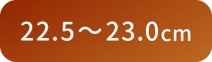 22.5〜23.0cm
