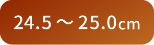 24.5〜25.0cm