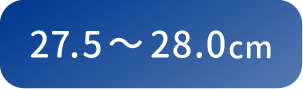 27.5〜28.0cm