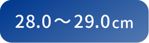 28.0〜29.0cm