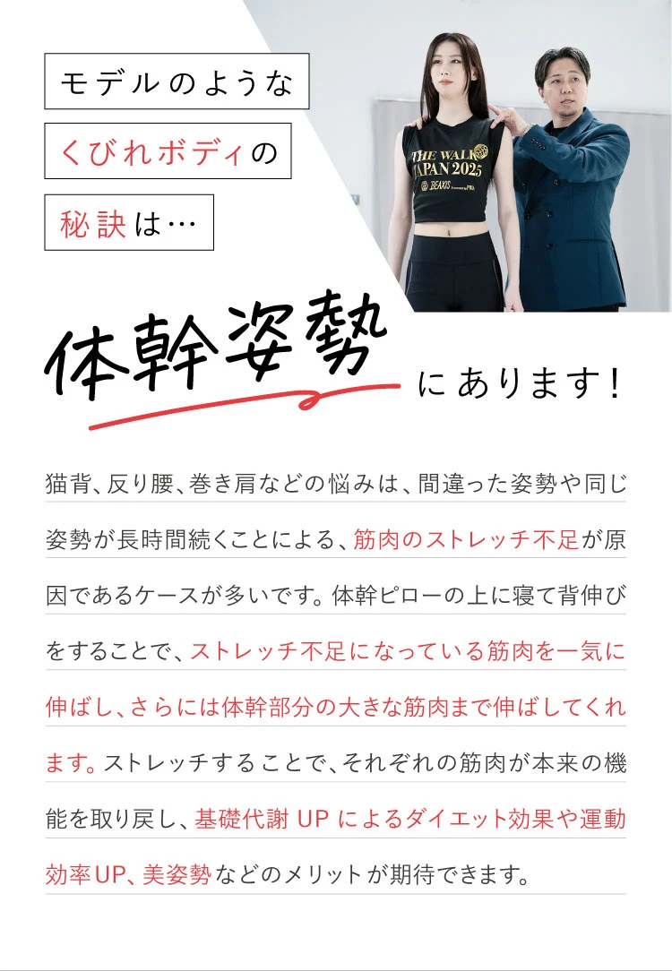 モデルのようなくびれボディの秘訣は、体幹姿勢にあります！