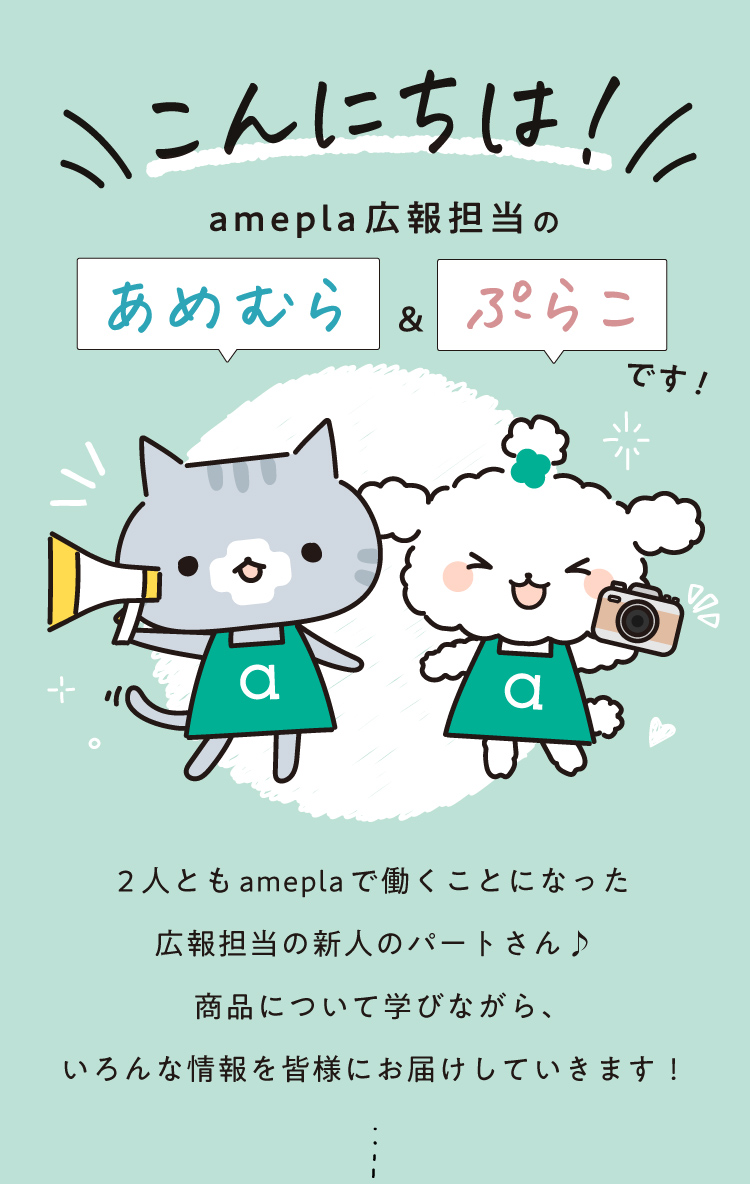 こんにちは！amepla広報担当のあめむら&ぷらこです！