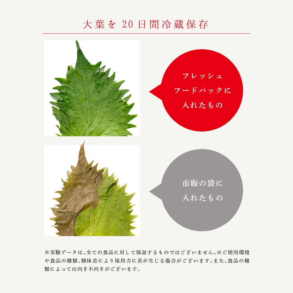 大葉を２０日間冷蔵保存してもフレッシュなまま