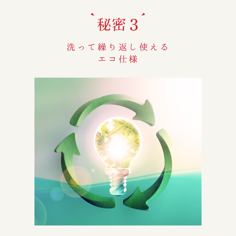 秘密3 洗って繰り返し使えるエコ仕様