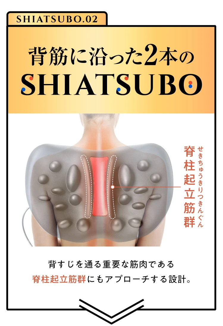 背筋に沿った2本のSHIATSUBO