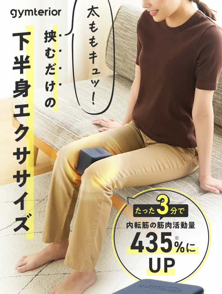gymterior シェイクボックス 太ももキュッ！挟むだけの下半身エクササイズ シェイクボックス gymterior(ジムテリア) | amepla