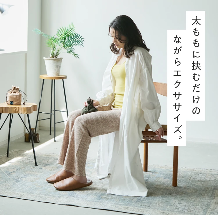 gymterior シェイクボックス 太ももキュッ！挟むだけの下半身