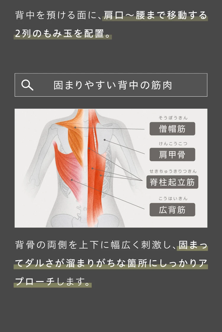 背中を預ける面に、肩口～腰まで移動する2列のもみ玉を配置