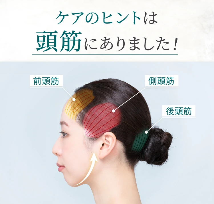 ケアのヒントは頭筋にありました!