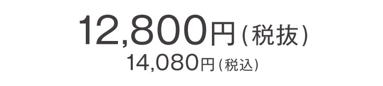 EMSスカルプリフター 製品価格